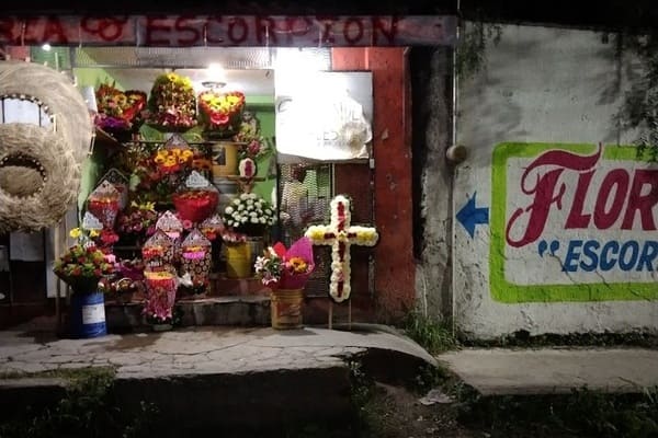 Florería Escorpión